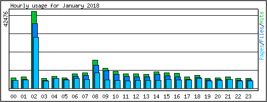 Hourly usage