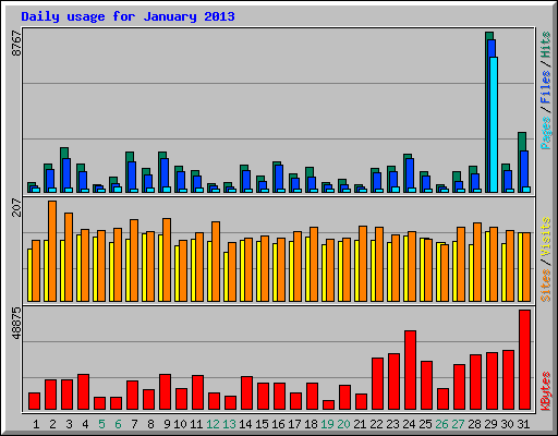 Daily usage for January 2013