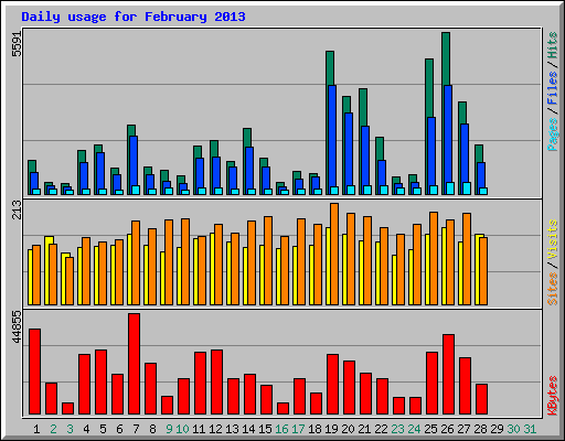 Daily usage for February 2013