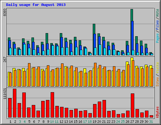 Daily usage for August 2013