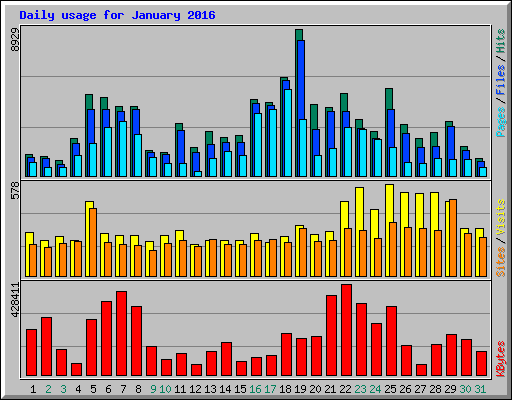 Daily usage for January 2016