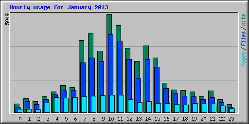 Hourly usage for January 2013