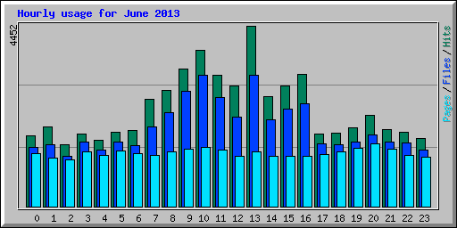 Hourly usage for June 2013
