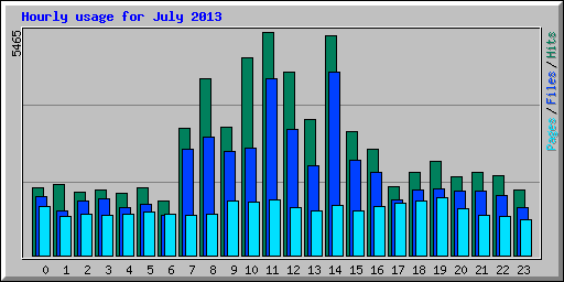 Hourly usage for July 2013