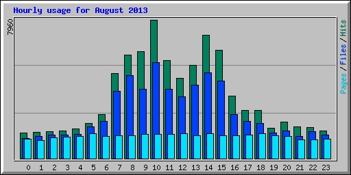 Hourly usage for August 2013