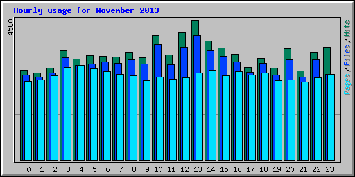 Hourly usage for November 2013