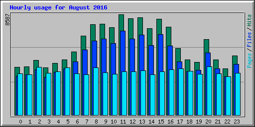 Hourly usage for August 2016