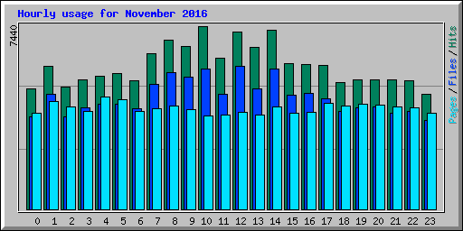 Hourly usage for November 2016