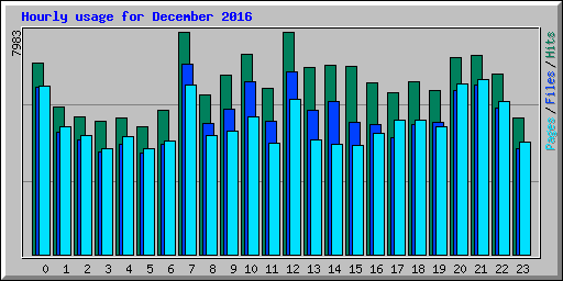 Hourly usage for December 2016