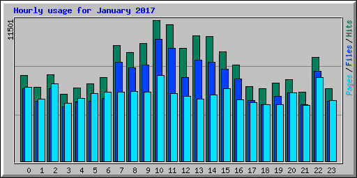 Hourly usage for January 2017