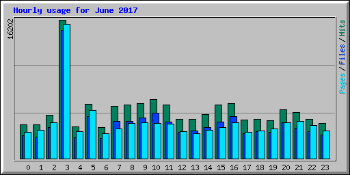 Hourly usage for June 2017