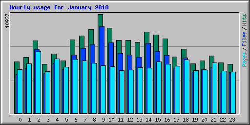 Hourly usage for January 2018